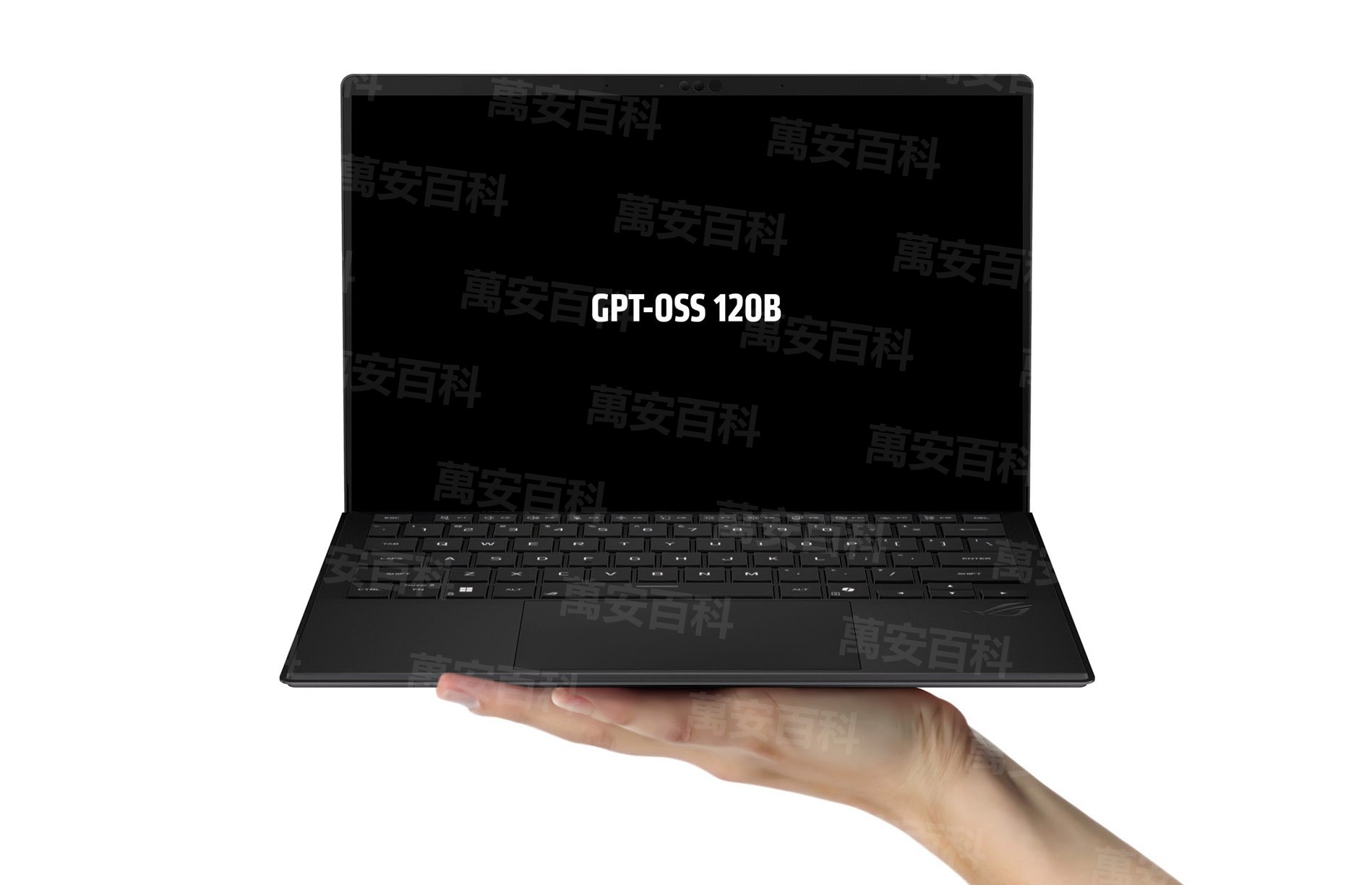 AMD 官方博客配图:Ryzen AI Max 平台本地运行 GPT-OSS 120B