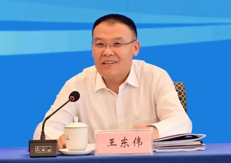 王东伟出任安徽省代理省长 王清宪辞去省长职务